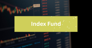 Index Fund - MakVik